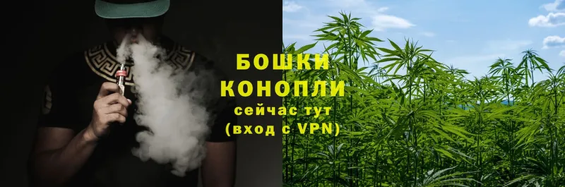 Конопля White Widow  Белоусово 